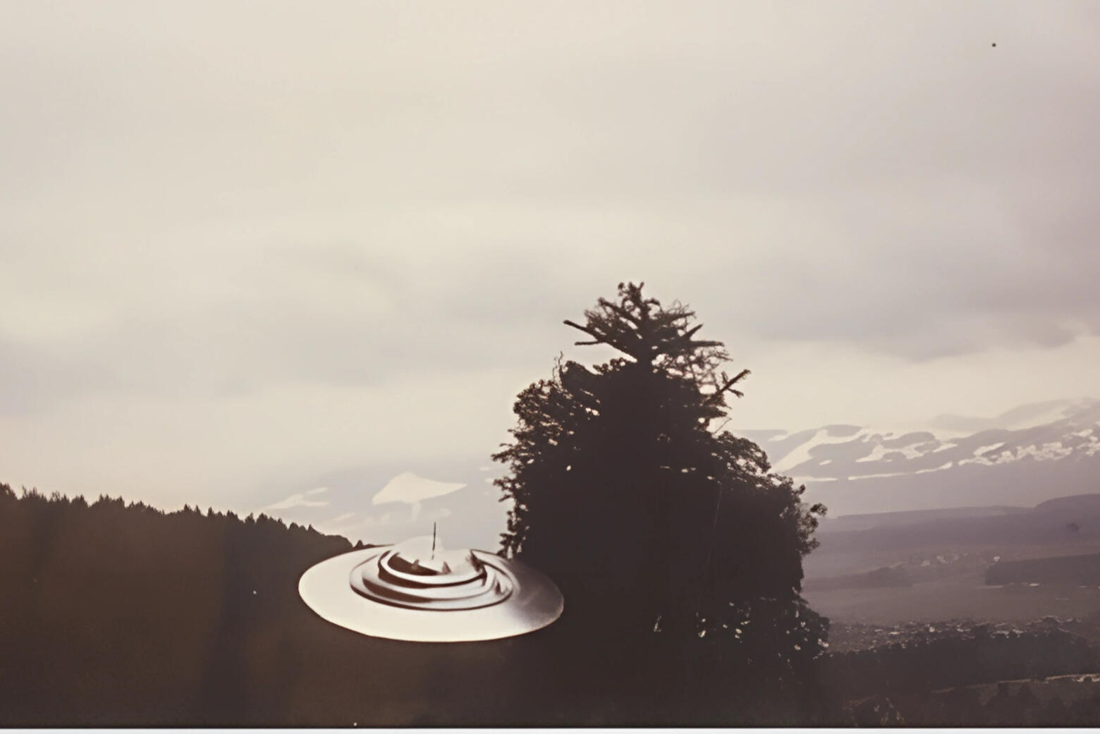 Plejaren Beamship Plejaren Beamship